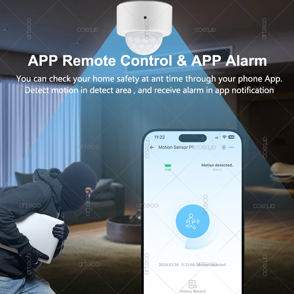 Ewelink Zigbee PIR Motion Sens - Smart Home Yale review and price