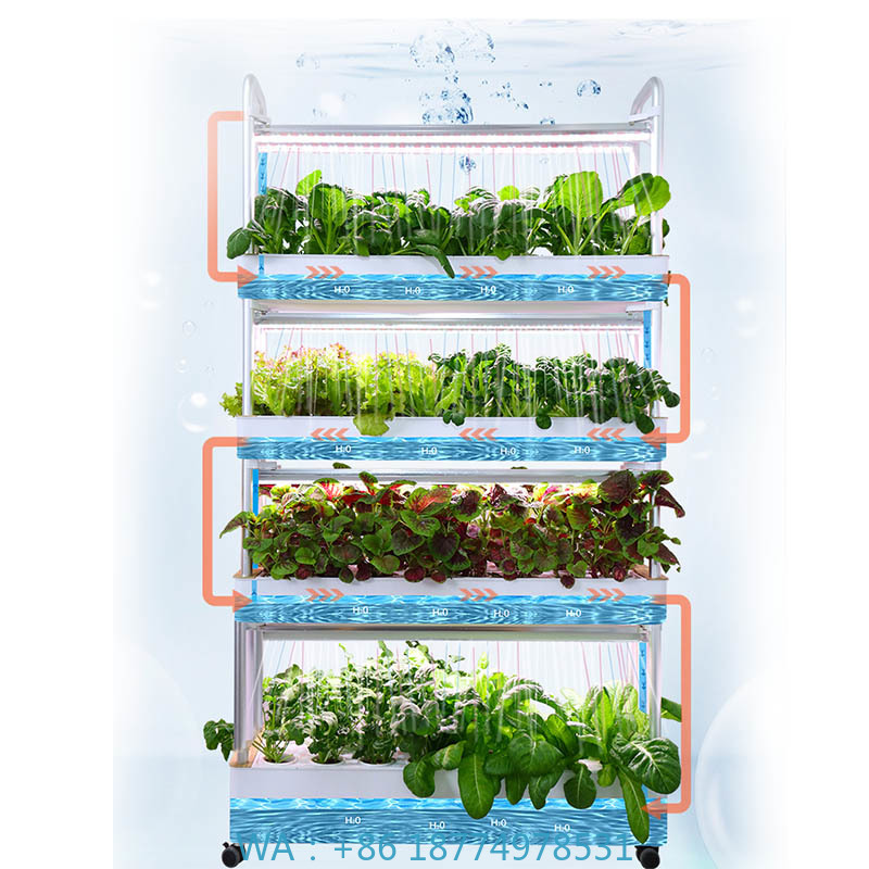 ydroponic Planting System Smar - Smart Home Uses review and price