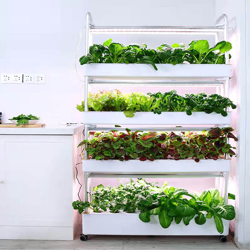 ydroponic Planting System Smar - Smart Home Uses review and price