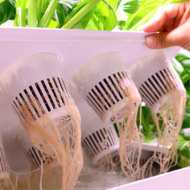 ydroponic Planting System Smar - Smart Home Uses review and price