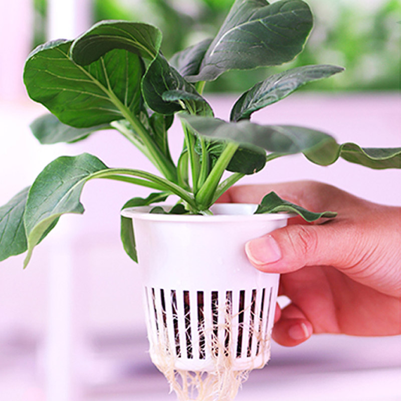 ydroponic Planting System Smar - Smart Home Uses review and price